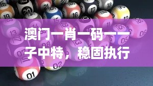 澳门一肖一码一一子中特，稳固执行方案计划_结合版7.56.673