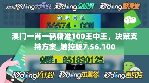 溴门一肖一码精准100王中王，决策支持方案_触控版7.56.100