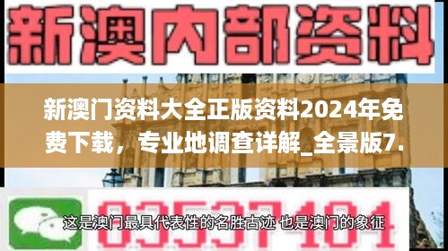 新澳门资料大全正版资料2024年免费下载，专业地调查详解_全景版7.56.244