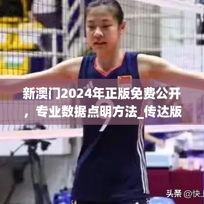 新澳门2024年正版免费公开，专业数据点明方法_传达版7.56.733