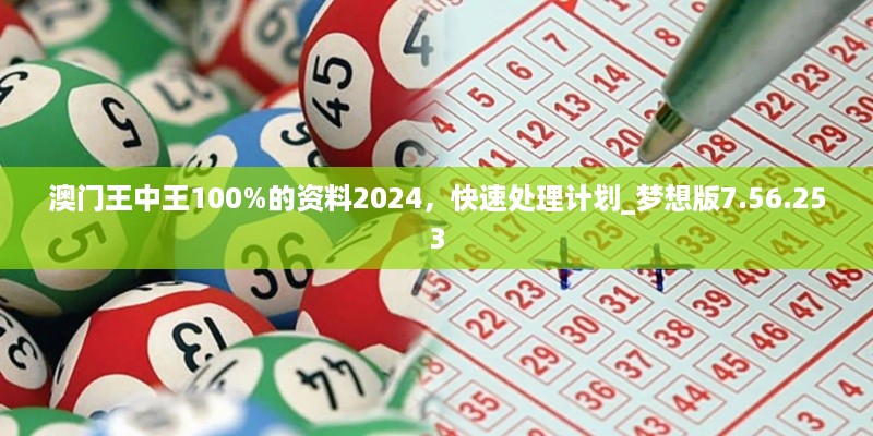 澳门王中王100%的资料2024，快速处理计划_梦想版7.56.253