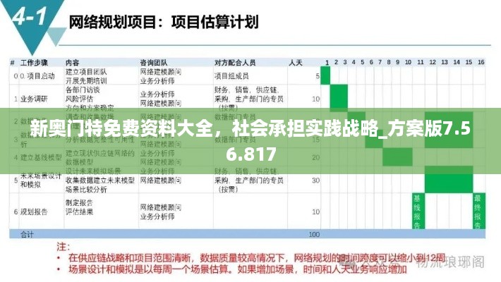 新奥门特免费资料大全，社会承担实践战略_方案版7.56.817