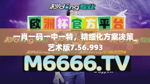 一肖一码一中一特，精细化方案决策_艺术版7.56.993