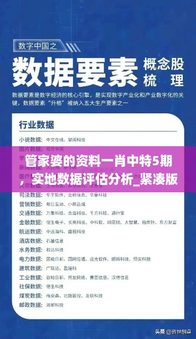 管家婆的资料一肖中特5期，实地数据评估分析_紧凑版7.56.677