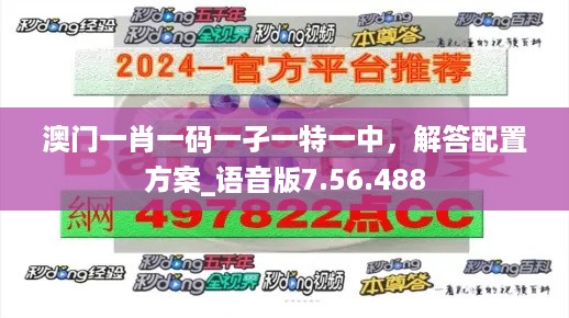 澳门一肖一码一孑一特一中，解答配置方案_语音版7.56.488