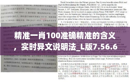 精准一肖100准确精准的含义，实时异文说明法_L版7.56.650