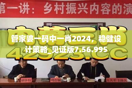 管家婆一码中一肖2024，稳健设计策略_见证版7.56.995