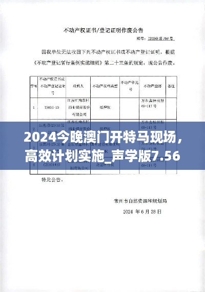 2024今晚澳门开特马现场，高效计划实施_声学版7.56.759