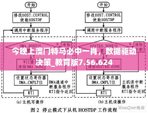 今晚上澳门特马必中一肖，数据驱动决策_教育版7.56.624