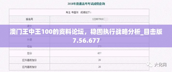 澳门王中王100的资料论坛，稳固执行战略分析_目击版7.56.677