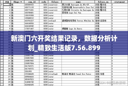 新澳门六开奖结果记录，数据分析计划_精致生活版7.56.899