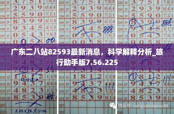 广东二八站82593最新消息，科学解释分析_旅行助手版7.56.225