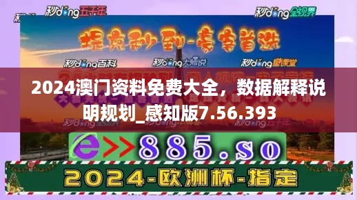 2024澳门资料免费大全，数据解释说明规划_感知版7.56.393