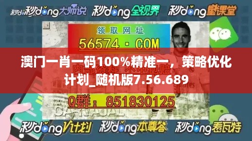 澳门一肖一码100%精准一，策略优化计划_随机版7.56.689