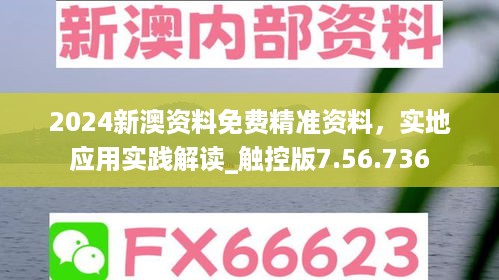 2024新澳资料免费精准资料，实地应用实践解读_触控版7.56.736