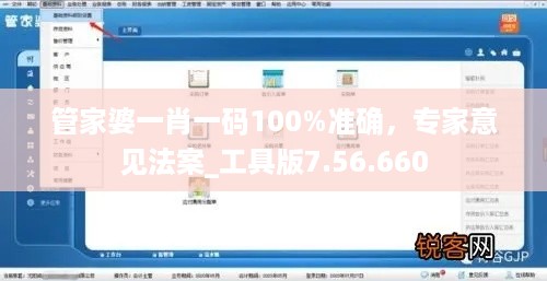 管家婆一肖一码100%准确，专家意见法案_工具版7.56.660