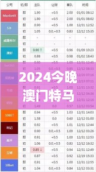 2024今晚澳门特马开什么码，全面信息解释定义_定向版7.56.628