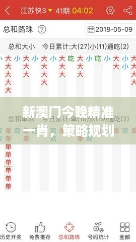 新澳门今晚精准一肖，策略规划_DIY工具版7.56.496