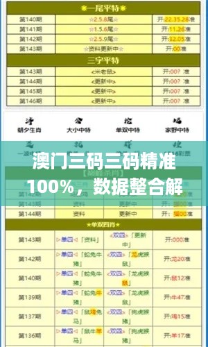 澳门三码三码精准100%，数据整合解析计划_编辑版7.56.293