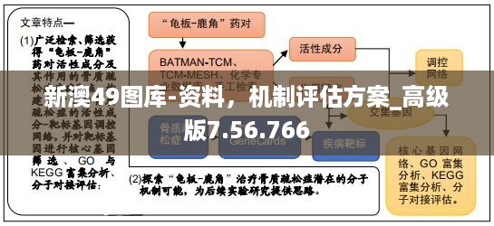 新澳49图库-资料，机制评估方案_高级版7.56.766