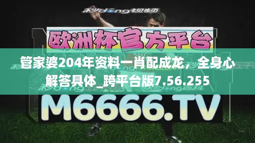 管家婆204年资料一肖配成龙，全身心解答具体_跨平台版7.56.255