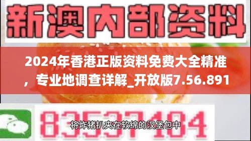 2024年香港正版资料免费大全精准，专业地调查详解_开放版7.56.891