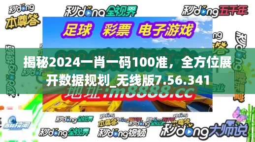 揭秘2024一肖一码100准，全方位展开数据规划_无线版7.56.341