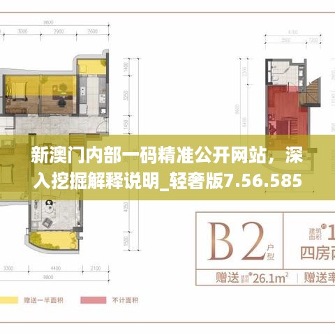 新澳门内部一码精准公开网站，深入挖掘解释说明_轻奢版7.56.585