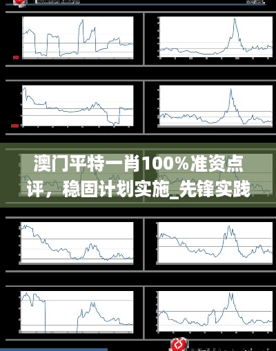 澳门平特一肖100%准资点评，稳固计划实施_先锋实践版7.56.491