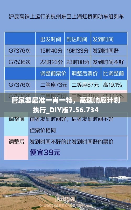 管家婆最准一肖一特，高速响应计划执行_DIY版7.56.734