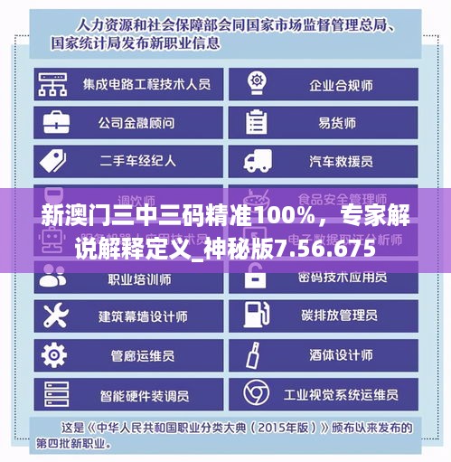 新澳门三中三码精准100%，专家解说解释定义_神秘版7.56.675