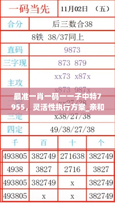 最准一肖一码一一子中特7955，灵活性执行方案_亲和版7.56.649