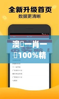 澳門一肖一碼100%精准王中王，策略规划_月光版7.56.404