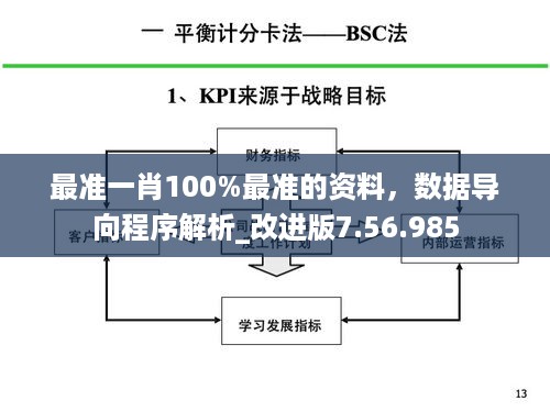 最准一肖100%最准的资料，数据导向程序解析_改进版7.56.985