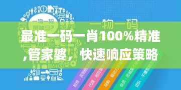 最准一码一肖100%精准,管家婆，快速响应策略解析_V版11.15.15