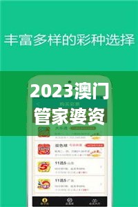 2023澳门管家婆资料正版大全，稳固执行战略分析_品牌版7.56.604