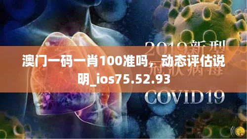 澳门一码一肖100准吗，动态评估说明_ios75.52.93