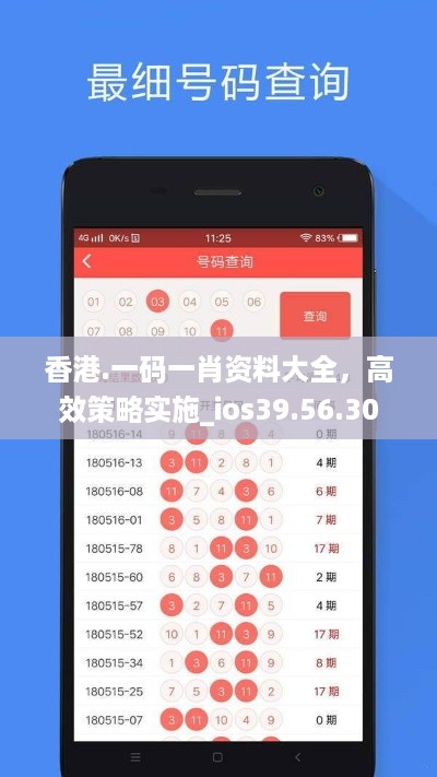 香港.一码一肖资料大全，高效策略实施_ios39.56.30