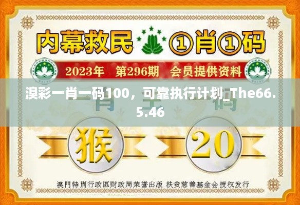 溴彩一肖一码100，可靠执行计划_The66.5.46