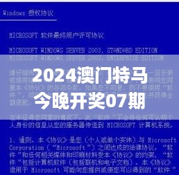 2024澳门特马今晚开奖07期，实践研究解释定义_战略版20.80.99