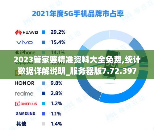 2023管家婆精准资料大全免费,统计数据详解说明_服务器版7.72.397