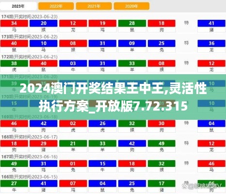 2024澳门开奖结果王中王,灵活性执行方案_开放版7.72.315