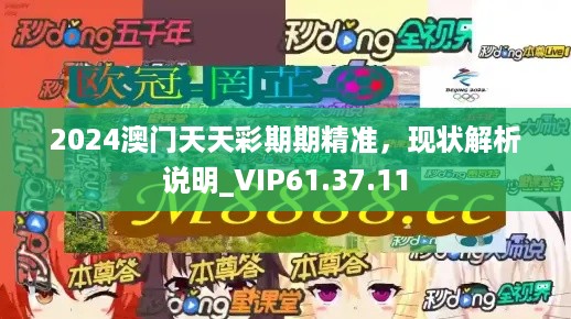 2024澳门天天彩期期精准，现状解析说明_VIP61.37.11