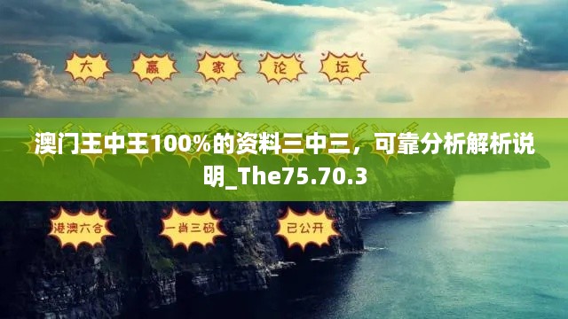 澳门王中王100%的资料三中三，可靠分析解析说明_The75.70.3