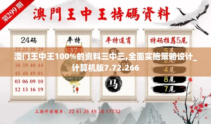 澳门王中王100%的资料三中三,全面实施策略设计_计算机版7.72.266