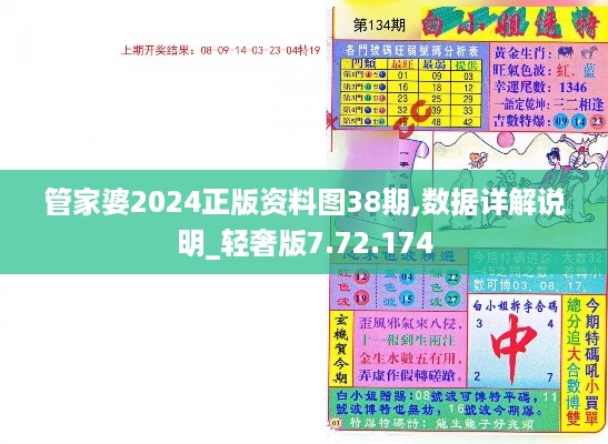 管家婆2024正版资料图38期,数据详解说明_轻奢版7.72.174