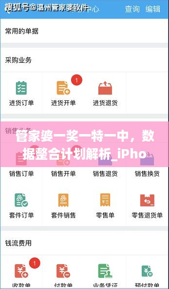 管家婆一奖一特一中，数据整合计划解析_iPhone38.45.91