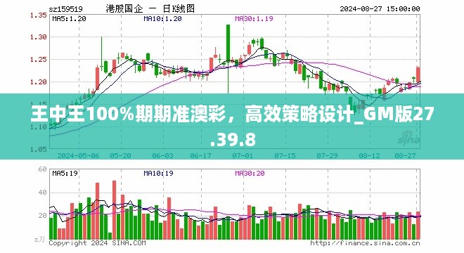 王中王100%期期准澳彩，高效策略设计_GM版27.39.8