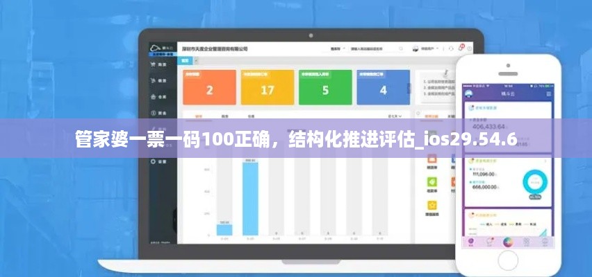 管家婆一票一码100正确，结构化推进评估_ios29.54.6