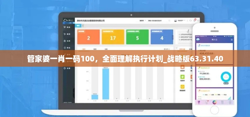 管家婆一肖一码100，全面理解执行计划_战略版63.31.40